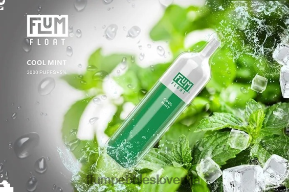 FLUM FLOAT 3000 vpihov | Flum Pebble Near Me 0F820025 hladna meta