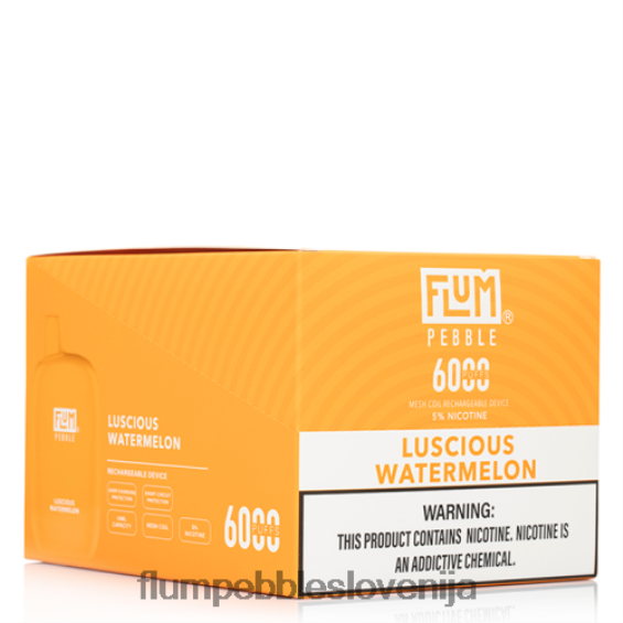 FLUM PEBBLES 6000 vpihov 10 paketov | Flum Pebble Slovenija 0F820051 slastna lubenica
