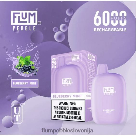 FLUM PEBBLES 6000 vpihov | Flum Pebble Vape Flavors 0F820017 borovničeva meta