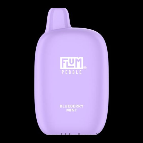 FLUM PEBBLES 6000 vpihov | Flum Pebble Vape Flavors 0F820017 borovničeva meta