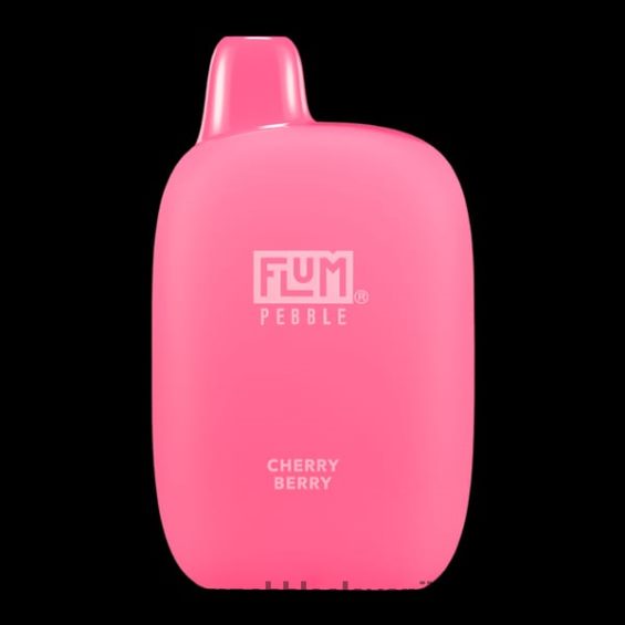FLUM PEBBLES 6000 vpihov | Flum Pebble Vape Ingredients 0F820020 češnjevo jagodičje